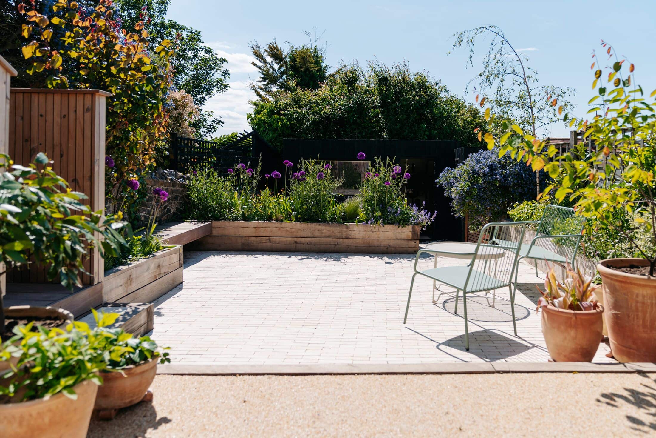 Courtyard garden in summer with purple alliums in sleeper raised beds and porcelain paving